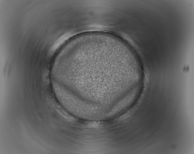 X0000111221259200907161242