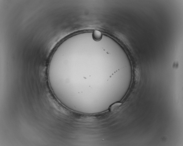 X0000111221260200907161242