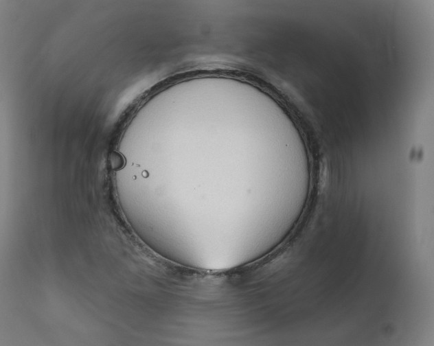 X0000111221261200907161242