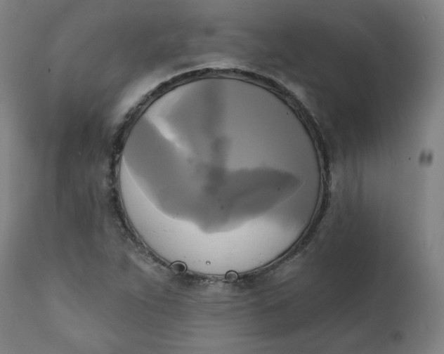 X0000111221263200907161242