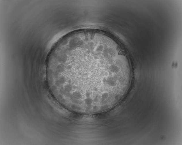 X0000111221267200907161242
