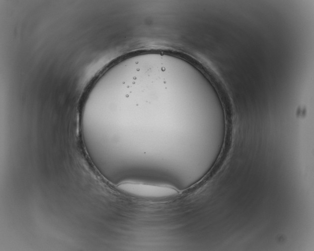 X0000111221269200907161242