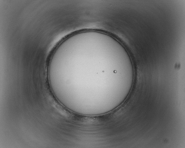 X0000111221270200907161242