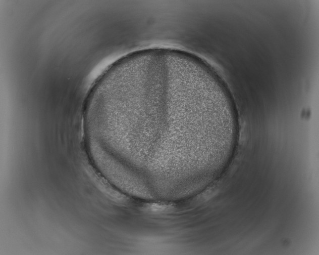 X0000111221271200907161242