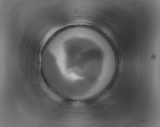 X0000111221275200907161242
