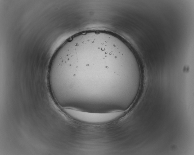 X0000111221277200907161242