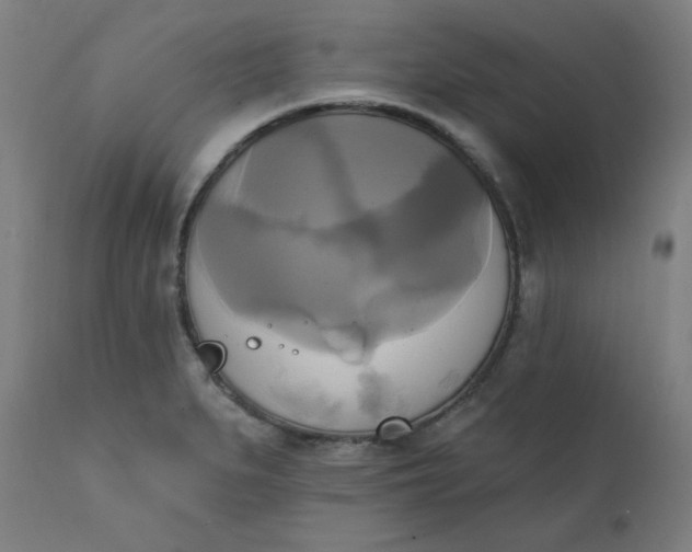 X0000111221279200907161242
