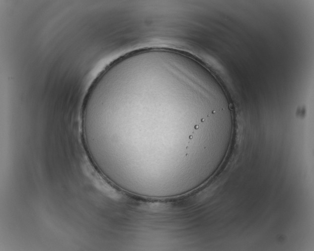 X0000111221280200907161242