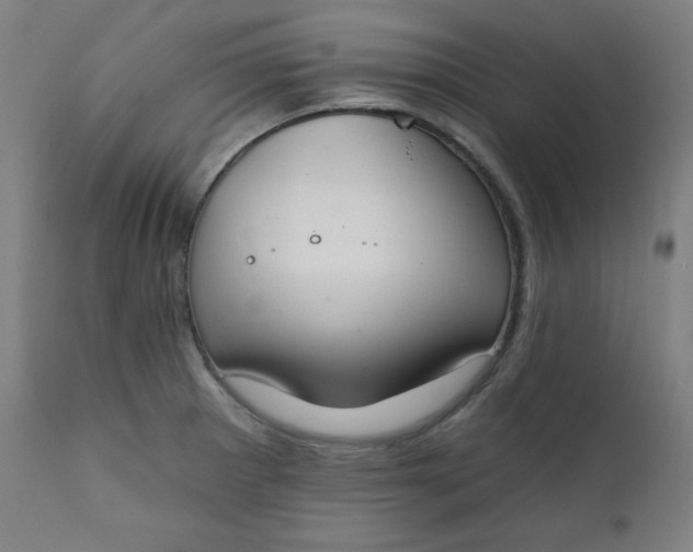 X0000111221281200907161242