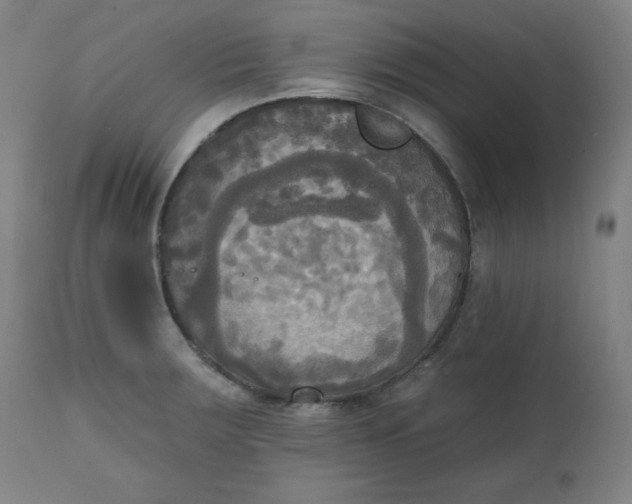 X0000111221283200907161242