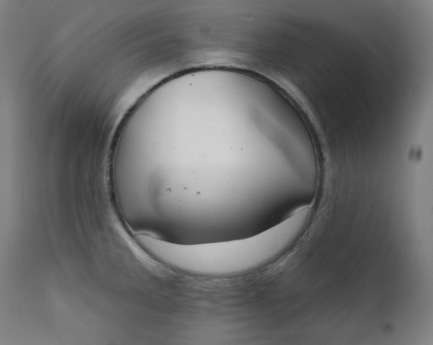 X0000111221285200907161242