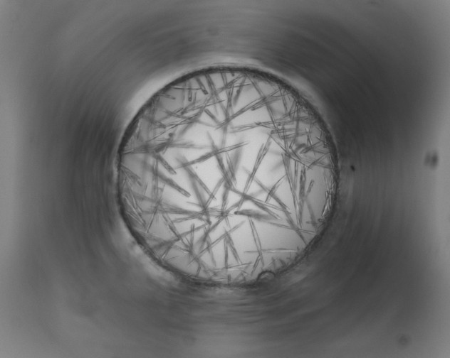 X0000111221287200907161242