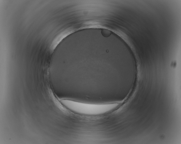 X0000111221289200907161242
