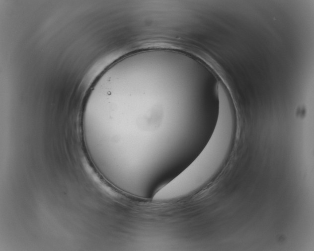 X0000111221293200907161242