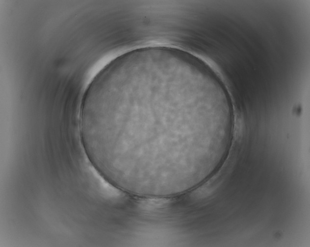 X0000111221294200907161242