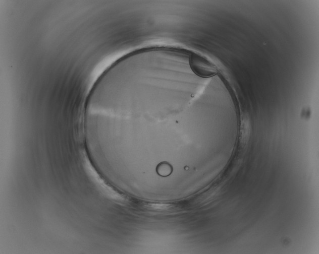 X0000111221295200907161242