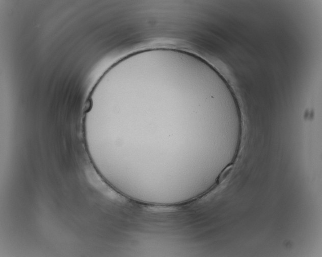 X0000111221296200907161242