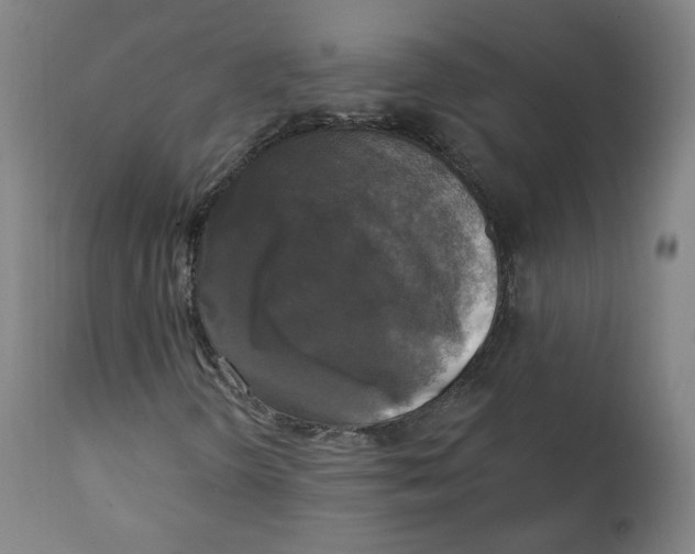 X0000111221298200907161241