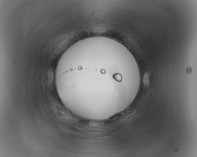 X0000111221299200907161241
