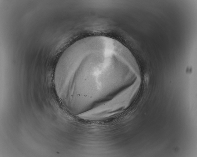 X0000111221300200907161241