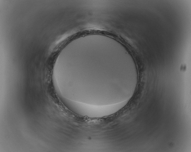 X0000111221303200907161241