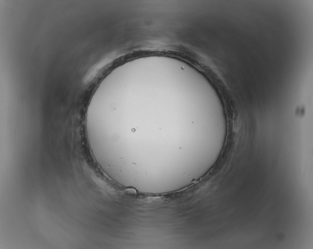 X0000111221304200907161241