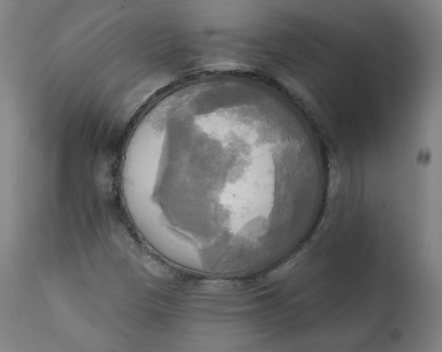 X0000111221305200907161241