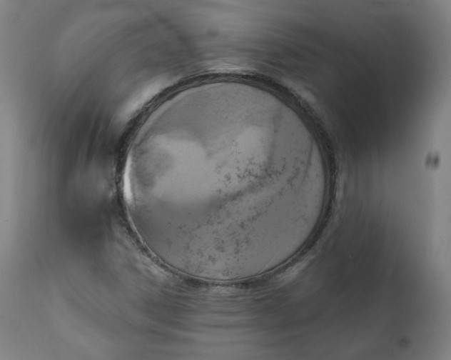 X0000111221306200907161241
