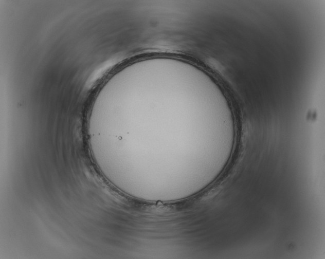 X0000111221307200907161241
