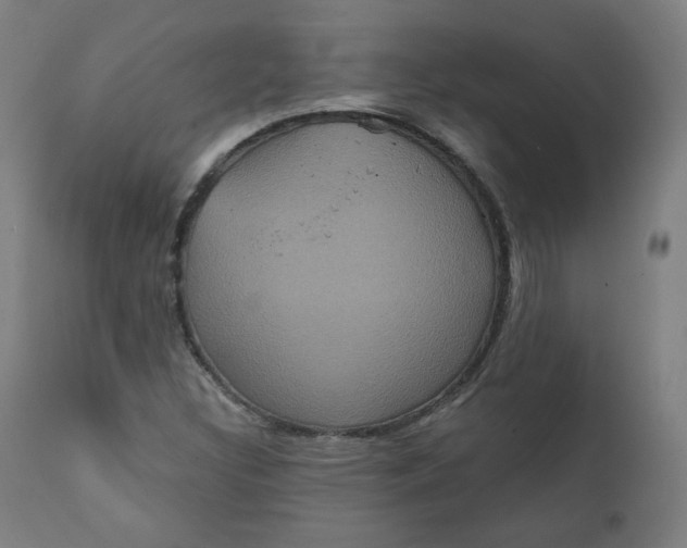 X0000111221308200907161241
