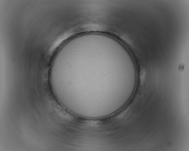X0000111221309200907161241