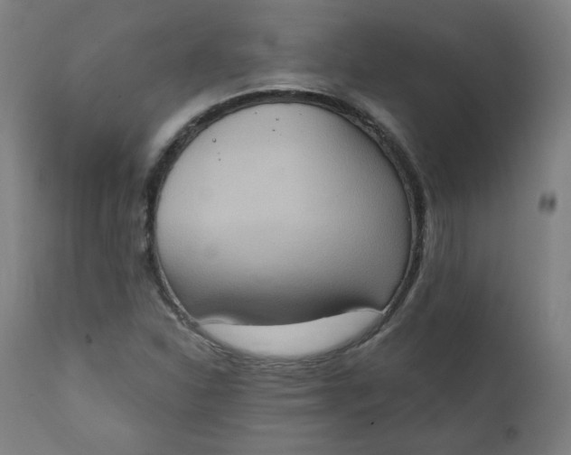 X0000111221310200907161242