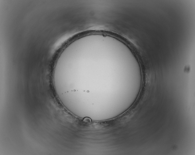 X0000111221311200907161242
