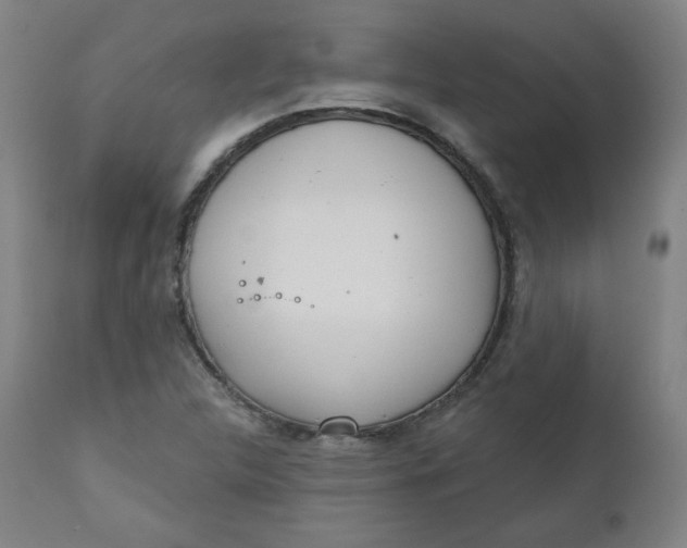 X0000111221312200907161242