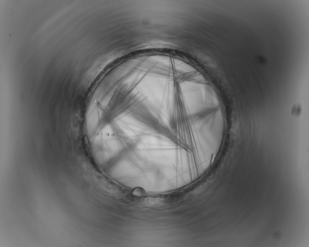 X0000111221313200907161242