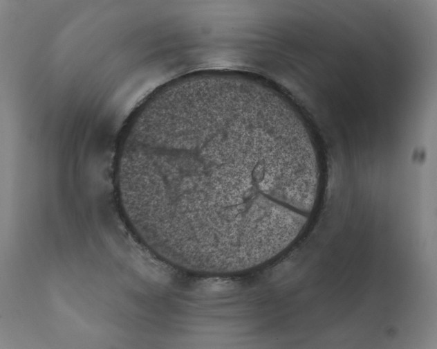 X0000111221314200907161242