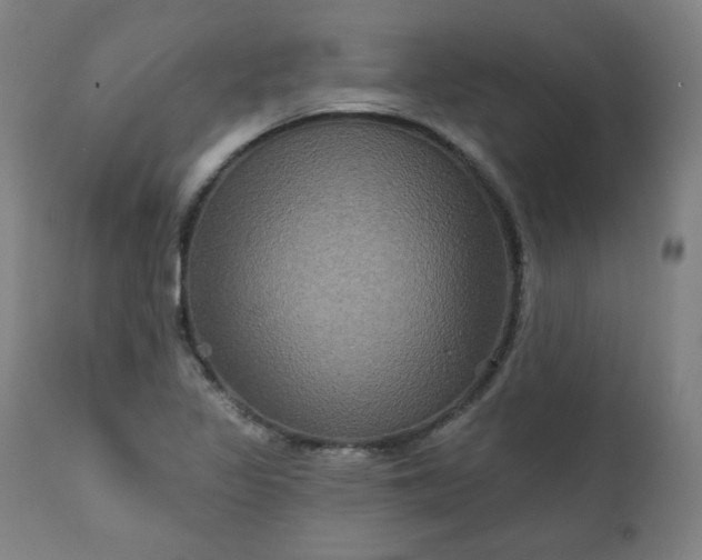 X0000111221317200907161242