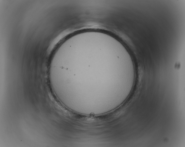 X0000111221318200907161242