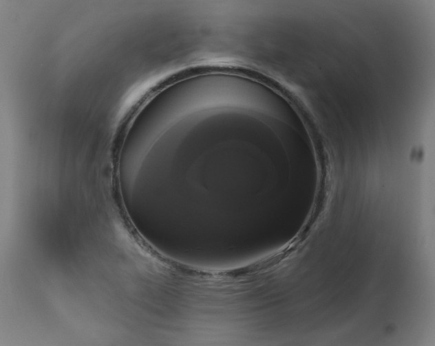 X0000111221319200907161242