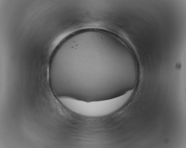 X0000111221320200907161242
