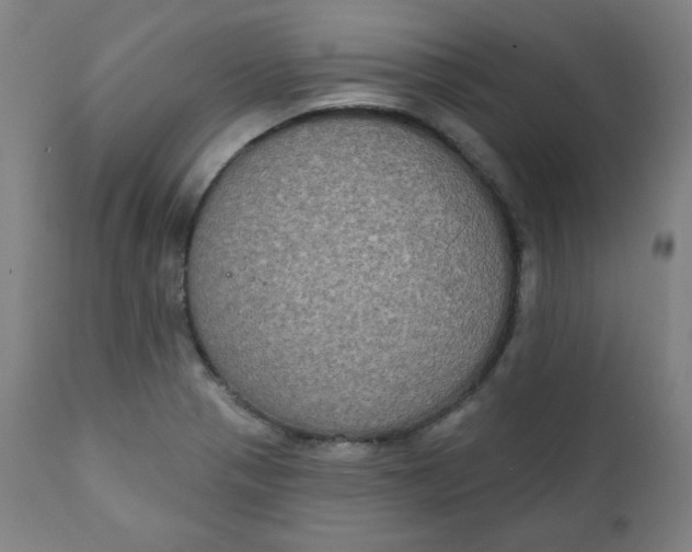 X0000111221321200907161242