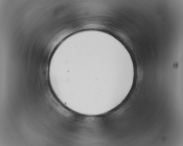 X0000111221322200907161242