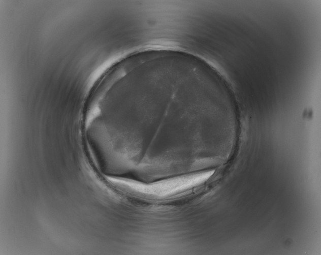 X0000111221325200907161242