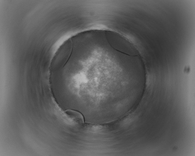 X0000111221326200907161242