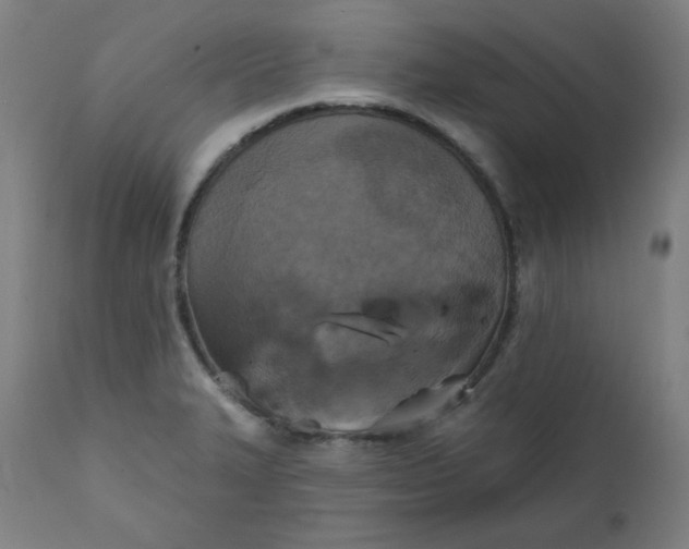 X0000111221327200907161242
