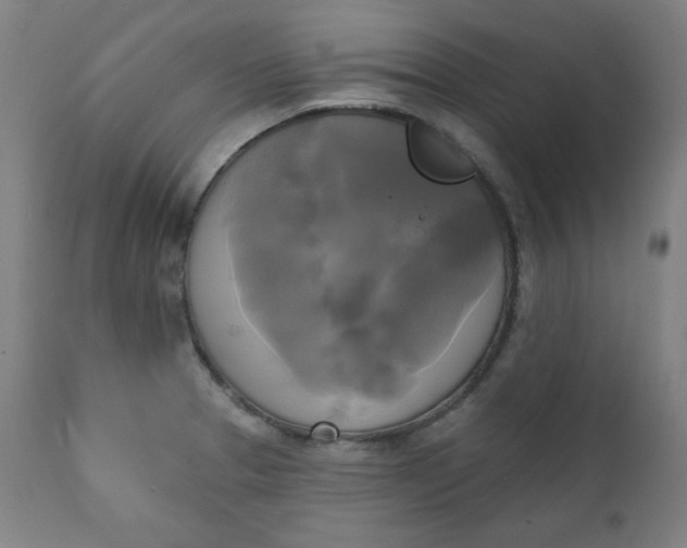 X0000111221329200907161242