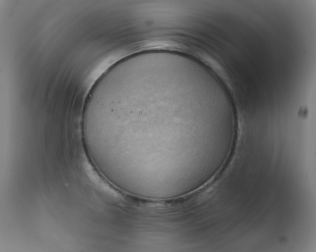 X0000111221330200907161242