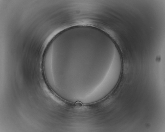 X0000111221331200907161242