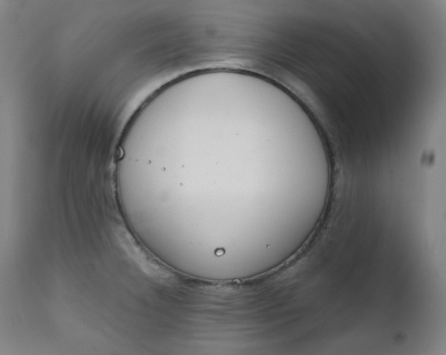 X0000111221332200907161242