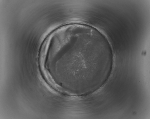 X0000111221333200907161242